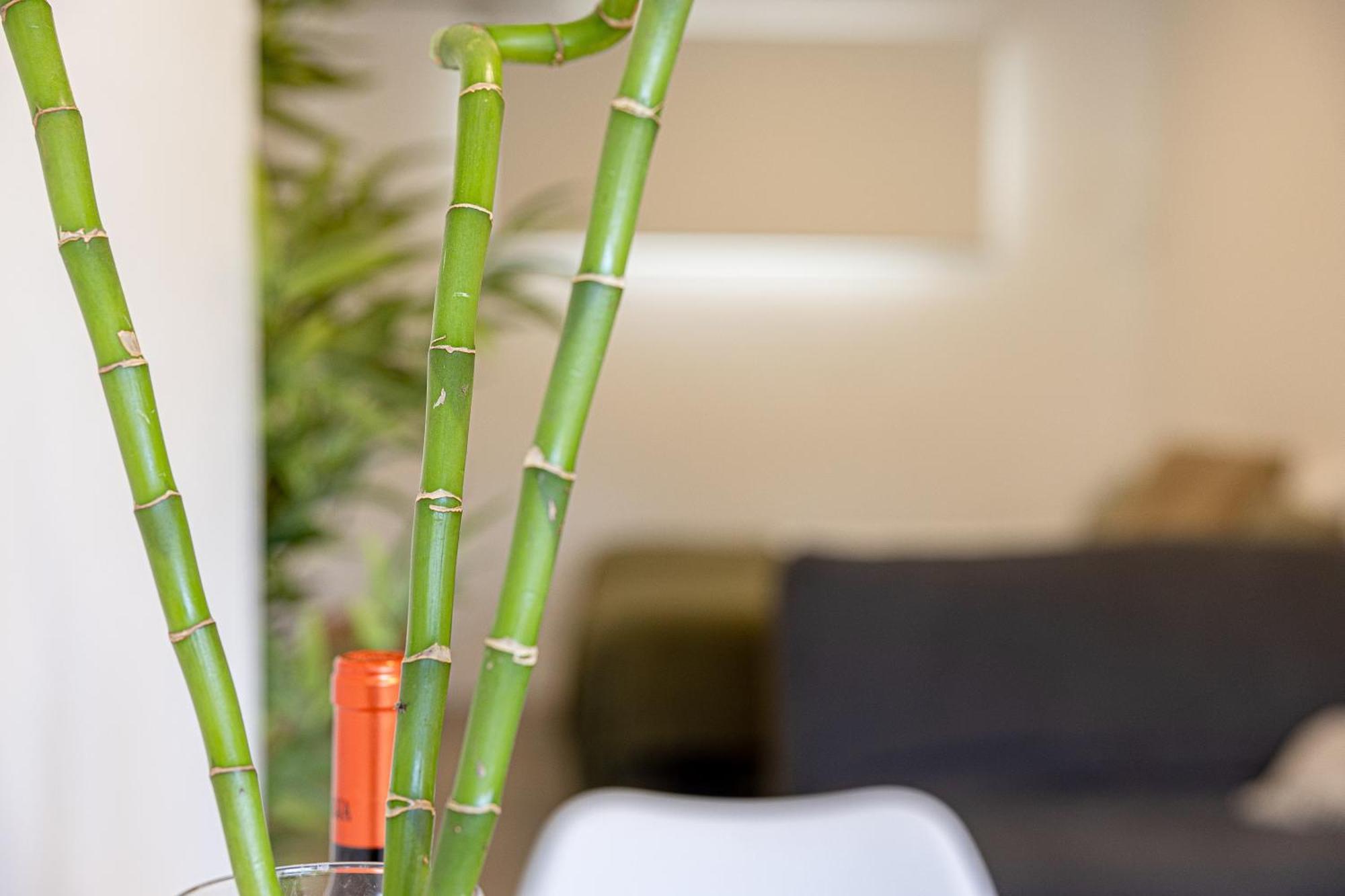 Bambu Suites Vegueta Alquiler Por Habitacion Las Palmas de Gran Canaria Esterno foto