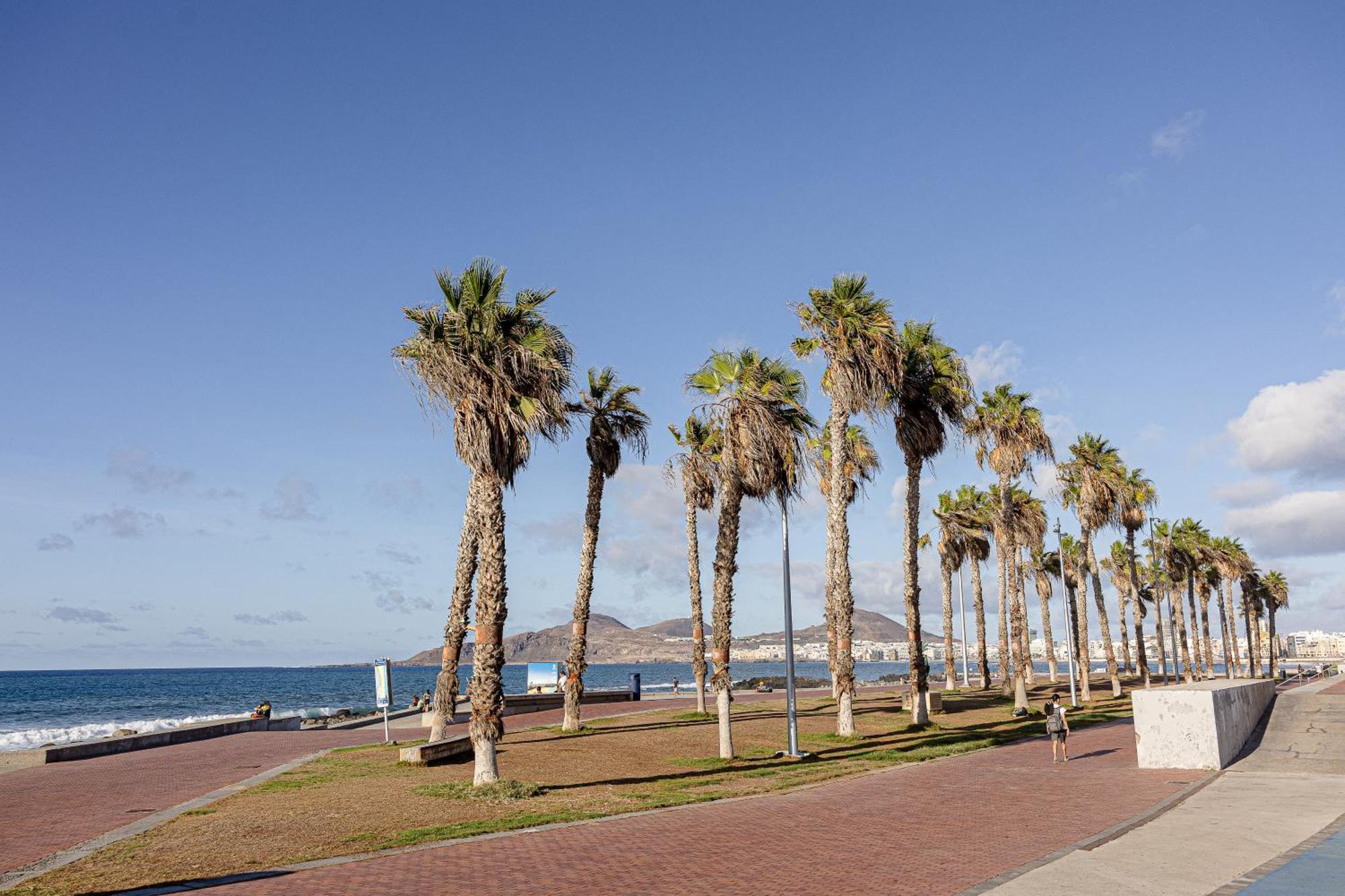Bambu Suites Vegueta Alquiler Por Habitacion Las Palmas de Gran Canaria Esterno foto